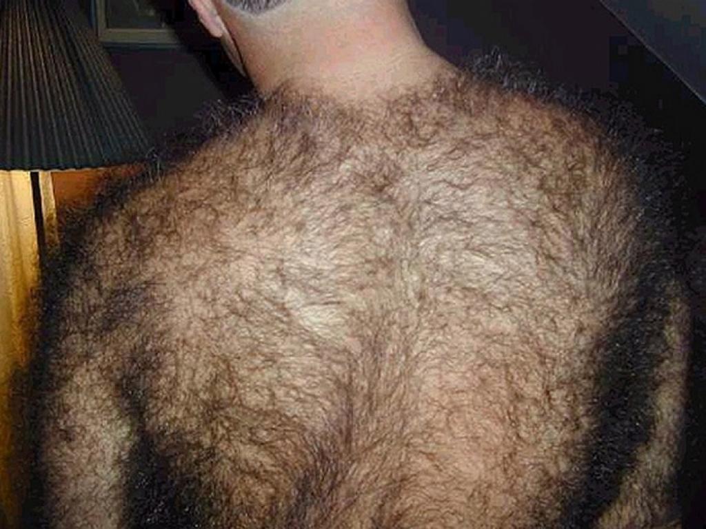 Волосатые гениталии брюнетки 