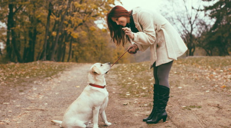 Il Vaut Mieux Ne Pas Tomber Amoureux D Une Femme Qui Aime Les Chiens