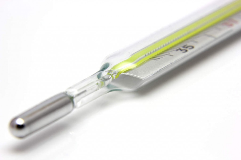 Thermomètre rectal Johnson Cocktail